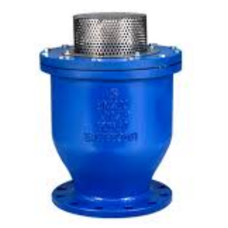 Dynamic Function Air Release Valve