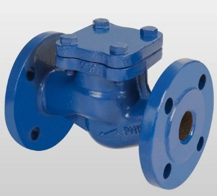 Spring loaded check valve flanged type front view