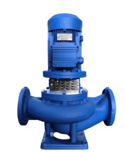Vertical inline centrifugal pump for HVAC systems